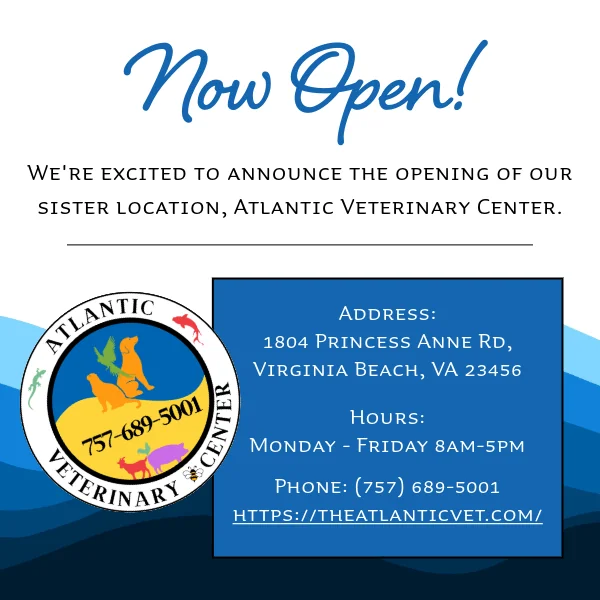 VA Beach Atlantic Vet Center Announcement Pop up